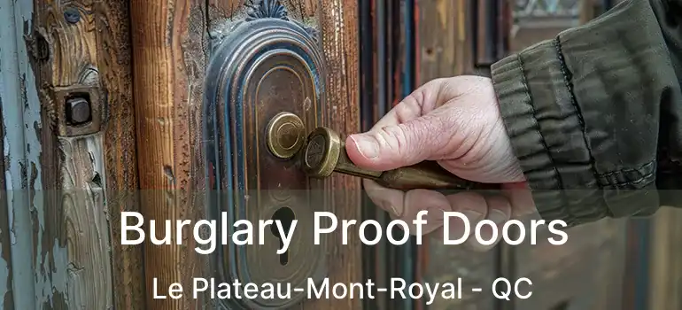 Burglary Proof Doors Le Plateau-Mont-Royal - QC