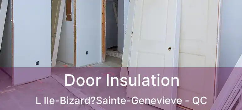 Door Insulation L Ile-Bizard?Sainte-Genevieve - QC