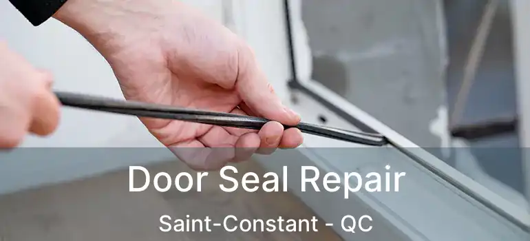 Door Seal Repair Saint-Constant - QC