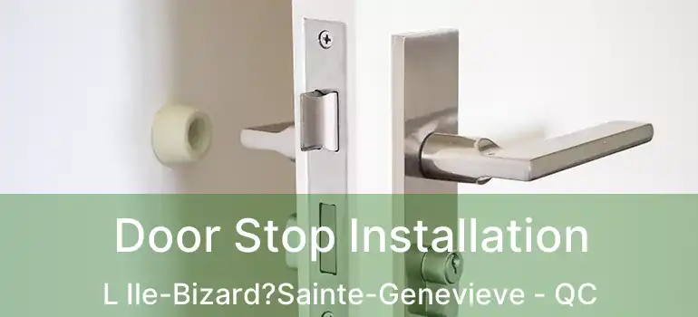 Door Stop Installation L Ile-Bizard?Sainte-Genevieve - QC