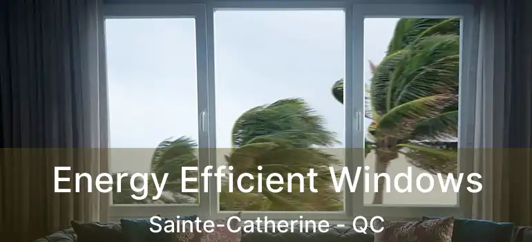 Energy Efficient Windows Sainte-Catherine - QC