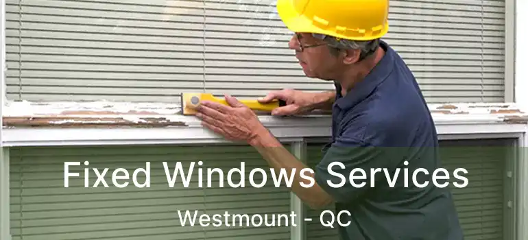 Fixed Windows Services Westmount - QC