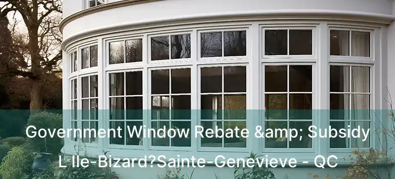 Government Window Rebate & Subsidy L Ile-Bizard?Sainte-Genevieve - QC