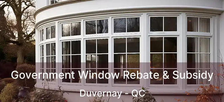 Government Window Rebate & Subsidy Duvernay - QC
