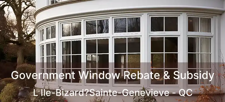 Government Window Rebate & Subsidy L Ile-Bizard?Sainte-Genevieve - QC