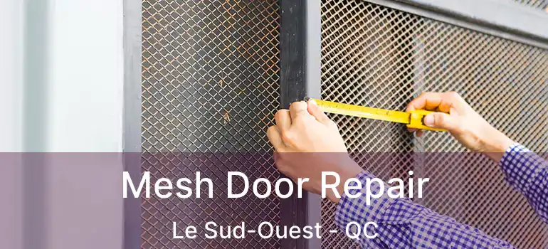 Mesh Door Repair Le Sud-Ouest - QC