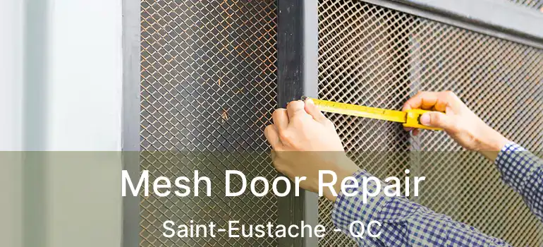 Mesh Door Repair Saint-Eustache - QC