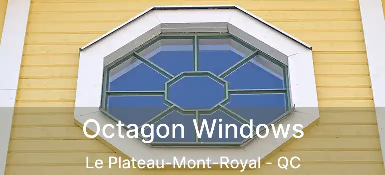 Octagon Windows Le Plateau-Mont-Royal - QC