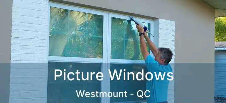 Picture Windows Westmount - QC