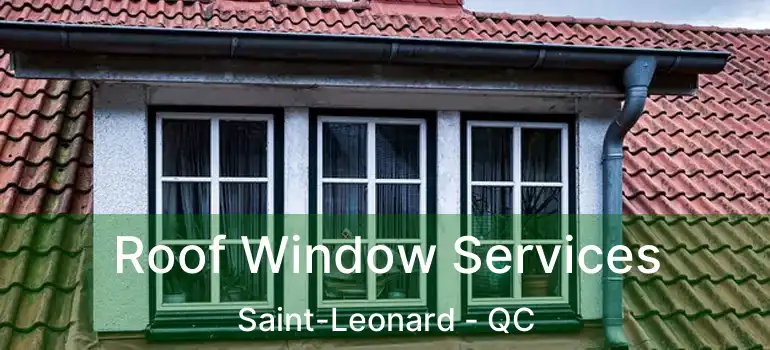 Roof Window Services Saint-Leonard - QC