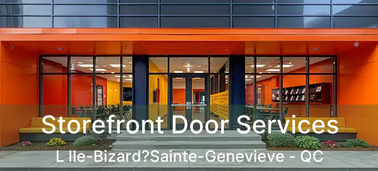 Storefront Door Services L Ile-Bizard?Sainte-Genevieve - QC