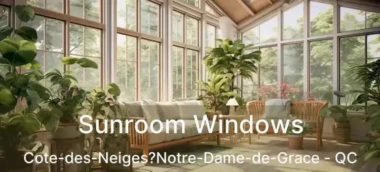 Sunroom Windows Cote-des-Neiges?Notre-Dame-de-Grace - QC