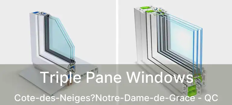 Triple Pane Windows Cote-des-Neiges?Notre-Dame-de-Grace - QC