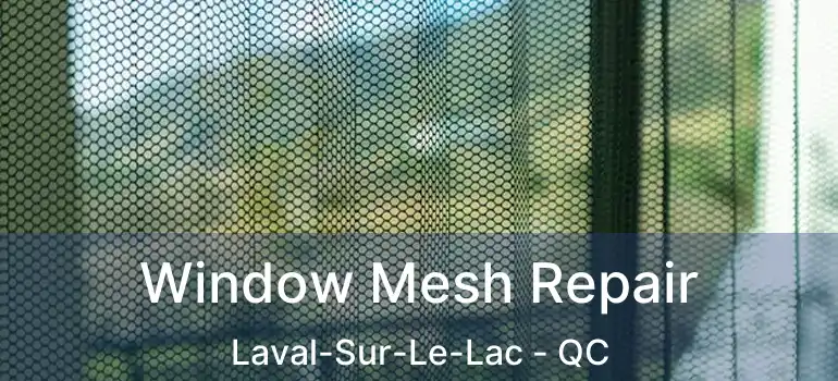 Window Mesh Repair Laval-Sur-Le-Lac - QC
