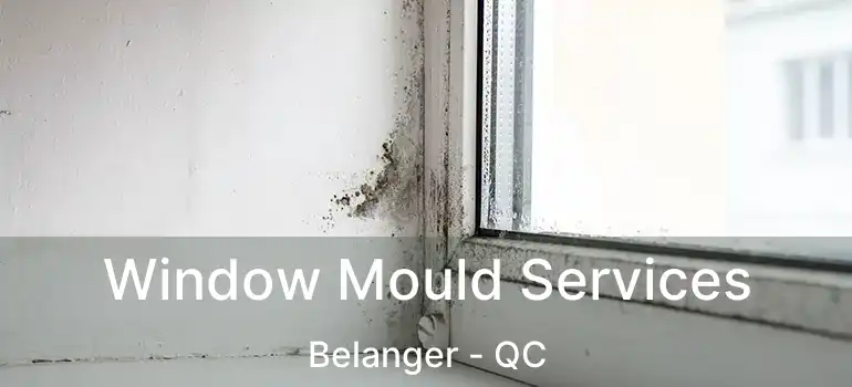 Window Mould Services Belanger - QC