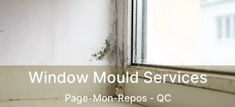 Window Mould Services Page-Mon-Repos - QC