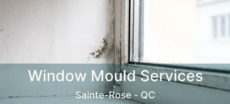 Window Mould Services Sainte-Rose - QC