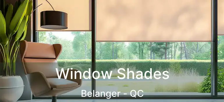 Window Shades Belanger - QC