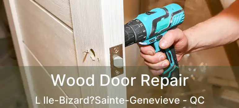 Wood Door Repair L Ile-Bizard?Sainte-Genevieve - QC